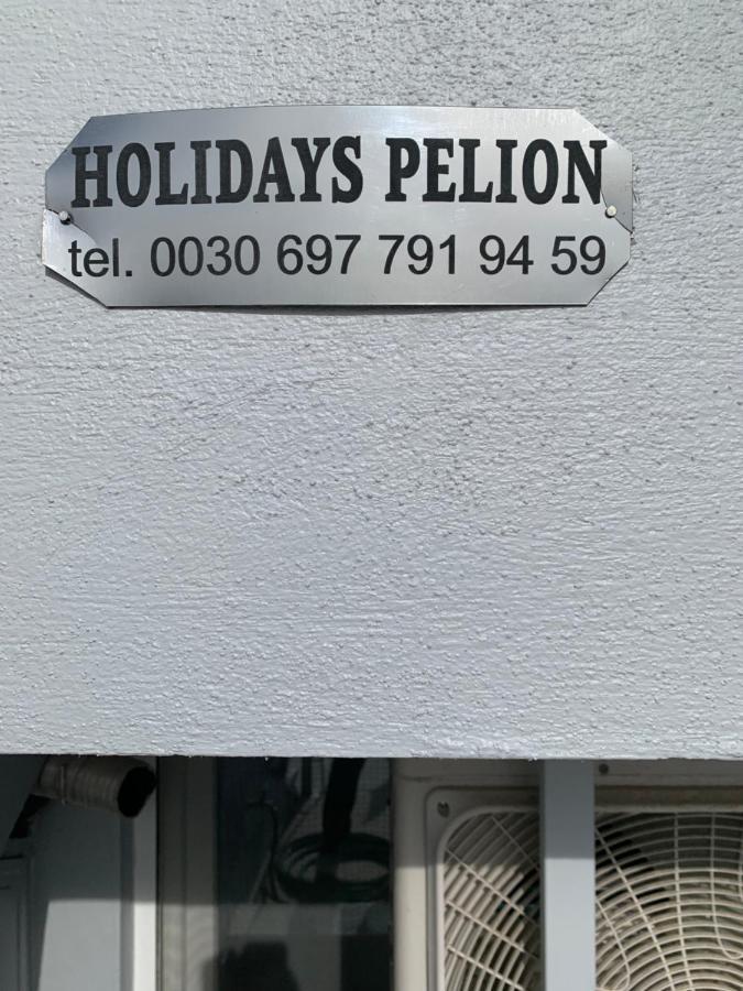 Holidays Pelion Studio Néa Ankhíalos المظهر الخارجي الصورة